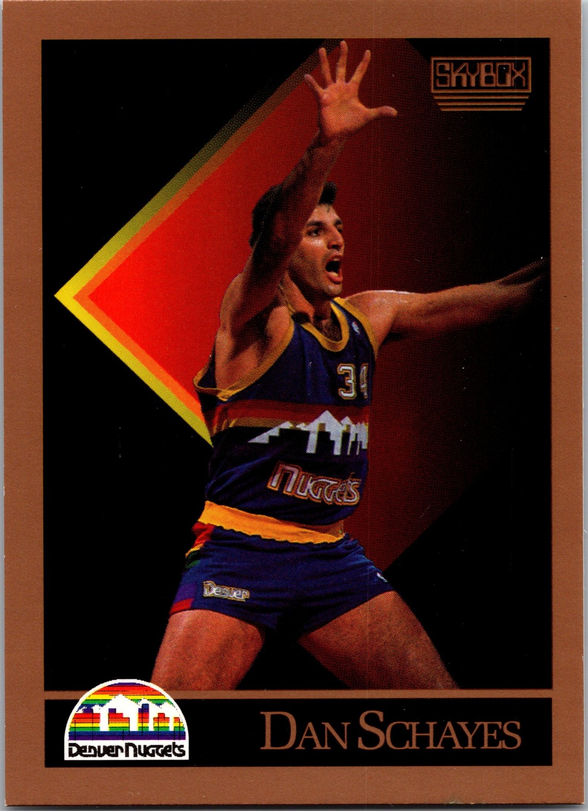 1990-91 SkyBox #81 Dan Schayes
