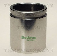 Triscan Kolben Bremssattel 8170 234831 FüR Seat VW Golf 48Mm Stahl 2 19E 1G1 1G2