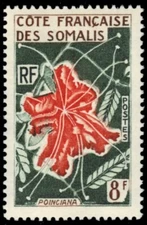 SOMALI COAST 307 - Native Flowers "Poinciana" (pb84677)