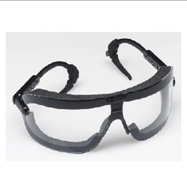 AO Safety 16420-00000-10 Fectogoggles