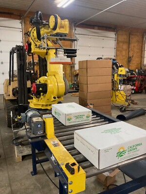 Fanuc Palletizing Robotic System, R-2000iB, M-710iC, Fanuc - Main Image