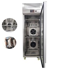 Roast Duck Embryo Drying Cabinet Restaurant Poultry Roasting PretreatmentMachine