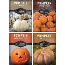 Pumpkin Seeds 4 Variety Pack for Planting   Small Sugar, Jack Orange, White