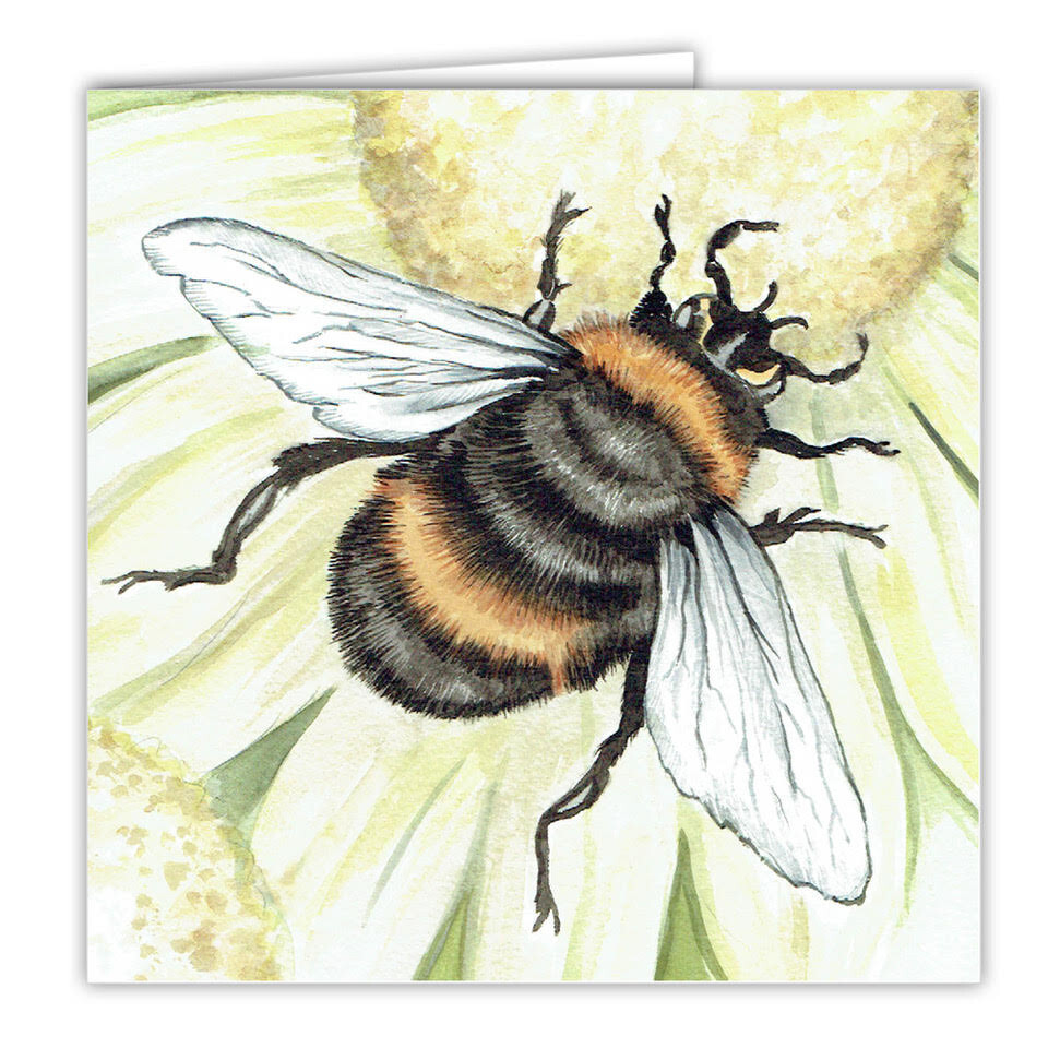 Bumble Bee greetings card Bumble Bees blank card Nature cards widlife insects