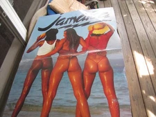 Vintage JAMAICA Large advertising Travel Poster 'REAR' TROPICAL BIRDS 37x24''