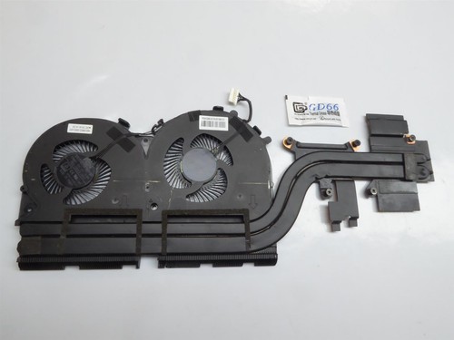 Lenovo 700 Kühler Lüfter Heatsink Fan 460.06R02.0003 #4150