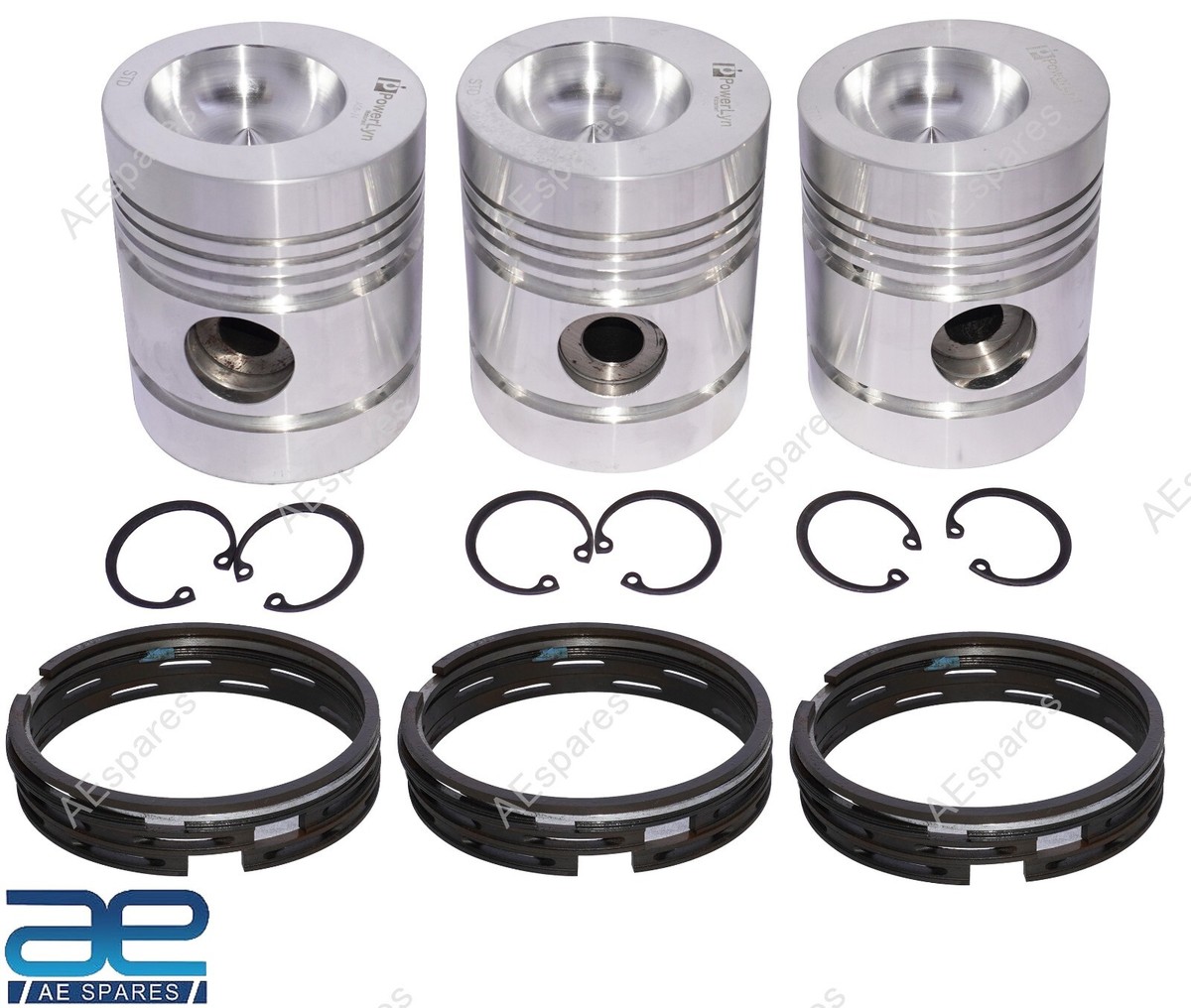 Stevens Lake Parts One New リア クランクシャフトシール Massey