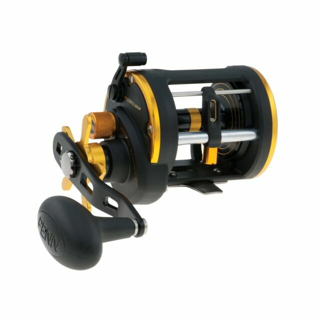 Penn SQL20LW Reel Squall Level Wind for sale online | eBay