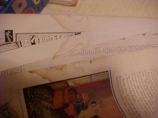 Bild 8 von 9