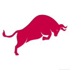 Bull - Decal Sticker - Multiple Colors Sizes - Ebn6812