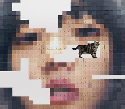 あいみょん 【猫にジェラシーBlu-ray版】 猫にジェラシー (初回限定Blu-ray盤) (特典なし) あいみょん | eBay