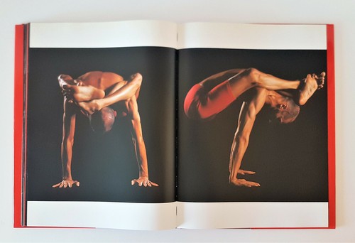LE MERAVIGLIOSE IMMAGINI DELLE YOGA metodo Maharashi SATHYANANDA Landoni Lisetta - Picture 3 of 4