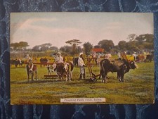 Burma Ploughing Paddy Fields DA Ahuja Postcard c.1910 