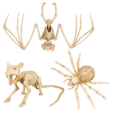 Halloween Animal Skeleton Prop Party Decoration Rat Spider Bat Tarantula Zombie