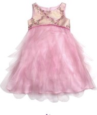 Biscotti Pink Floral Embroidered Mesh A-Line Dress - 3T