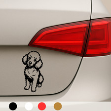 2x Pudel Hund Dog Maltipoo Malteser Zwergpudel 5x10cm Auto Laptop Sticker