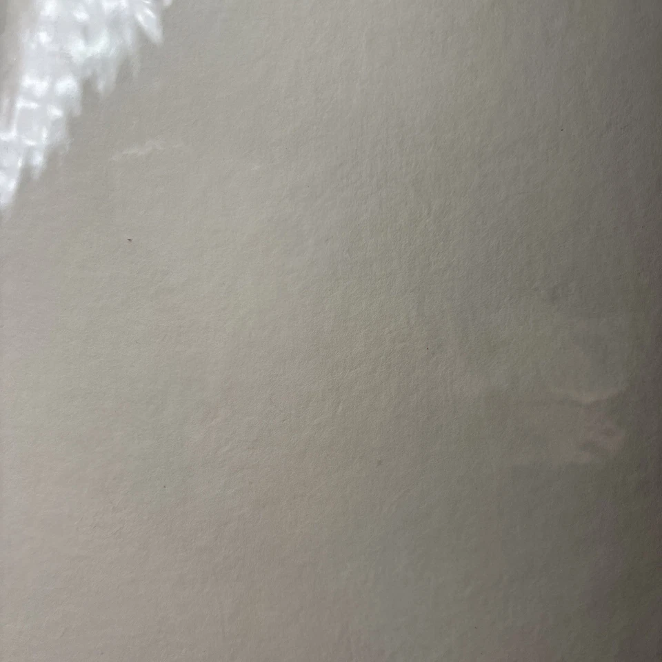 Arte digital tradicional japonés Washi moenkopi Bizan 300 de MOAB -- 1 HOJA -- Foto 2 de 4