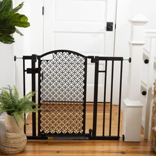 Ingenuity Doorway 42W Series Dog and Baby Gate