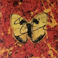 Ed Sheeran 'Shivers' cd single, hand signed by Ed.