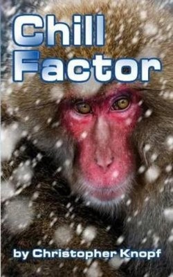 Christopher Knopf Chill Factor (Taschenbuch)