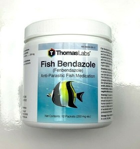 fish bendazole petsmart