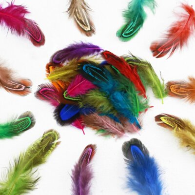10-100 Pcs Dyed Multi-Color Wholesale Pheasant Feathers 3-7cm/1-3inch Real Flank