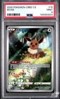 2025 PSA 9 Graded Pokemon Eevee 15 Chinese