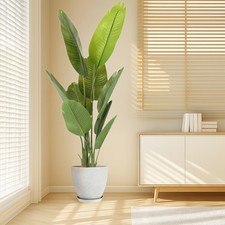 Artificial Bird of Paradise Plant with Plant Pot, Feaux Plants in Pot