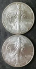 Two 2004 $1 American Silver Eagle Dollars