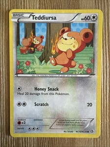 Teddiursa RC15/RC25 Legendary Treasures: Radiant Collection Holo NM
