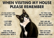 Funny Cat Aluminium Metal Sign Pet Kitchen Garden Room Patio Fun Outdoors