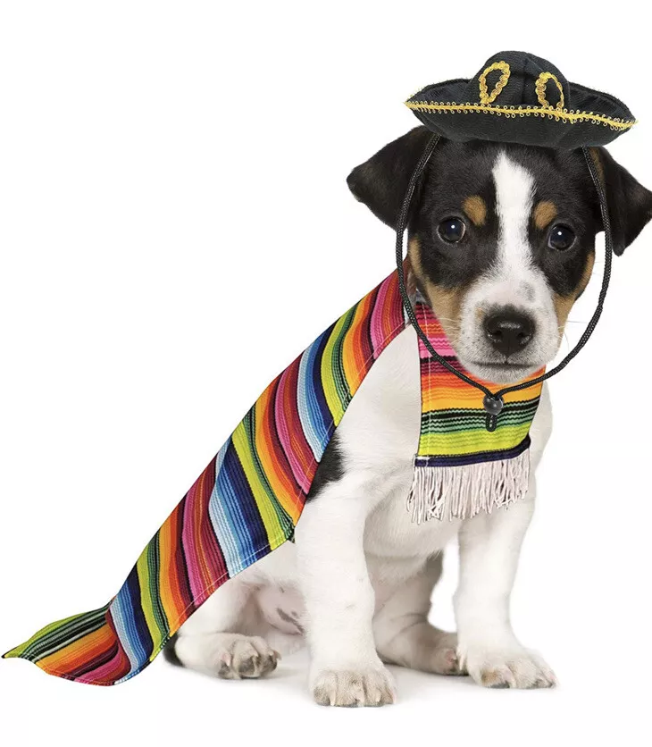 Mexican dog clearance poncho