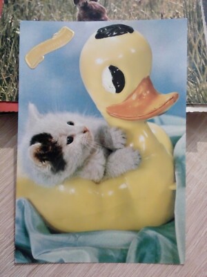 Cpsm Cpm Vintage Chat Chaton Avec Bouee Canard Joyeux Anniversaire Ebay