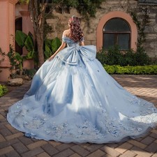 Custom Glitter Blue Ball Gown Quinceanera Dress 3D Floral Applique Beaded Bow