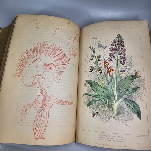 1870 The Universe Pouchet Antique Book Natural History Engravings Ex-library - Imagen 12 de 24