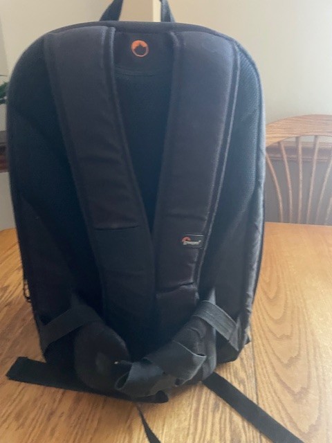 Lowpro BP 250 AW II camera backpack