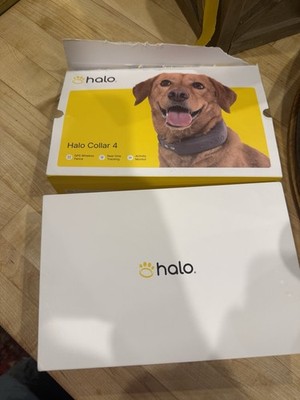 Halo collar 4
