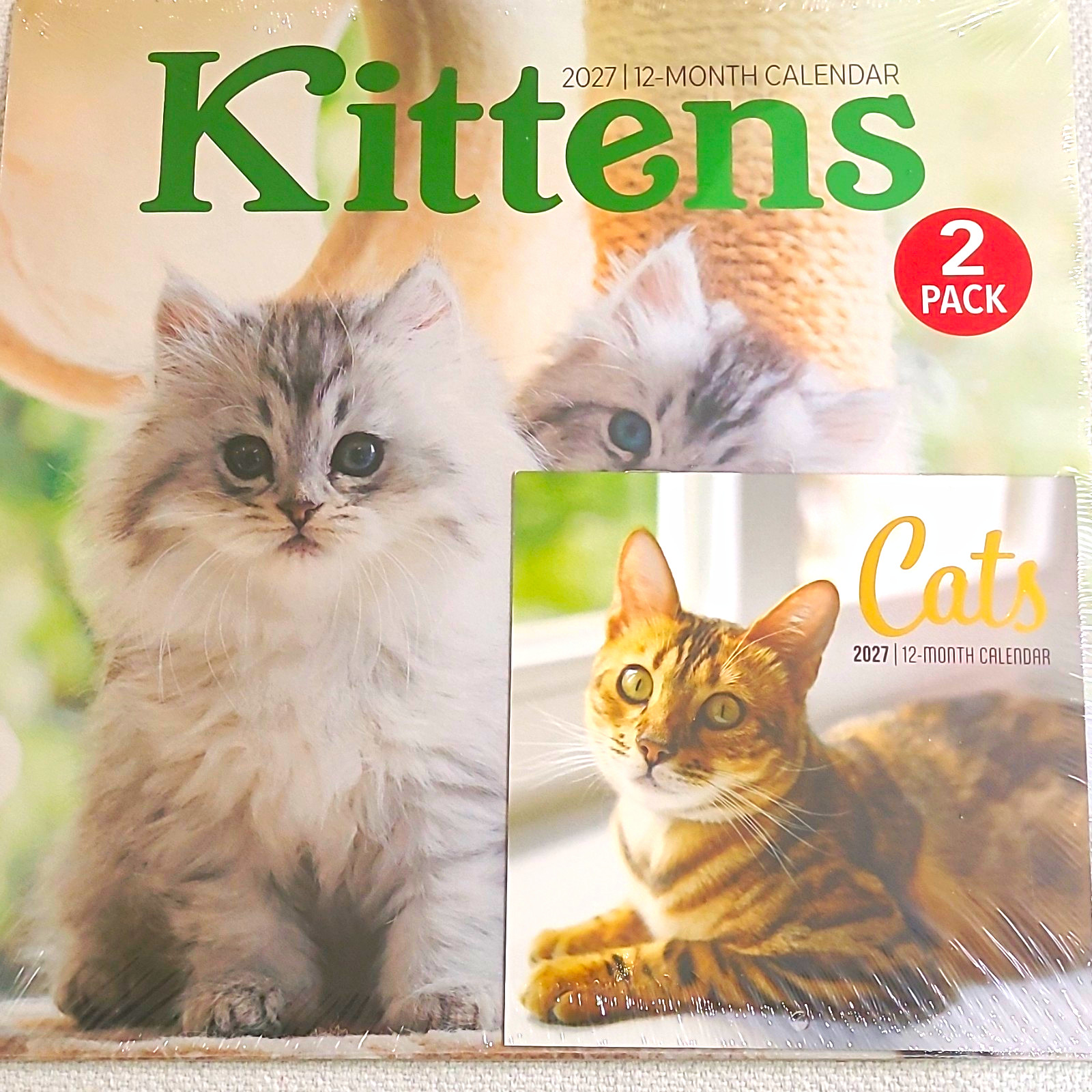 Jot 2027 Kittens & Cats 12-Month Wall Calendar, Monthly Format 2-Pack