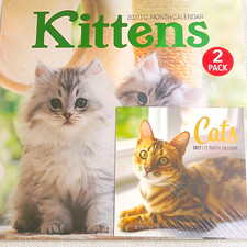 Jot 2027 Kittens & Cats 12-Month Wall Calendar, Monthly Format 2-Pack