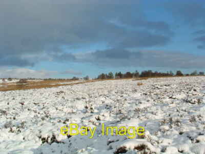 Foto 6x4 Das Moor über Knocknagore Upper Knockando drei verschiedene Vegetationen c2008