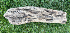 Large Natural Driftwood for Fish  Reptile Aquariums, Crafts, Decor 16x5x3