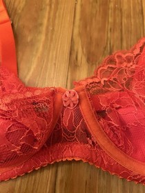 NWT Women&rsquo;s Vintage Dita Von Teese Tryst Balconette Bra Poppy Color Size 36D