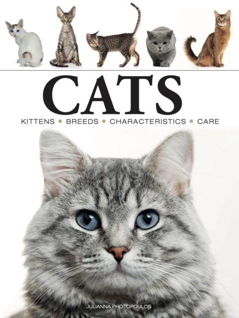 Cats by Julianna Photopoulos (Paperback Book)