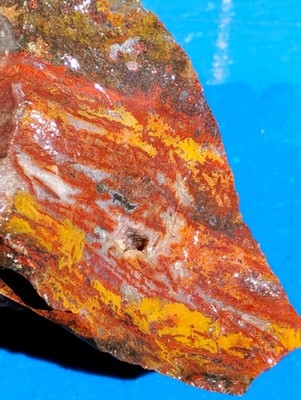 Moss Agate Rough Specimen Ready For Cab Collect Lapidary 