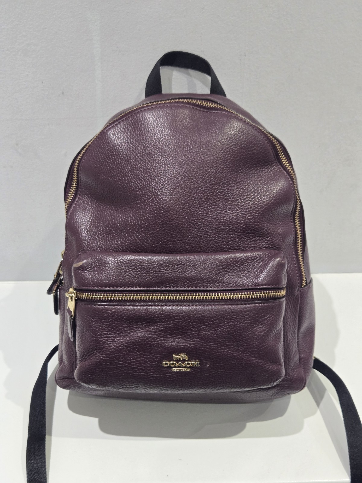 Coach Leather Backpack