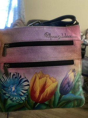 Anna by Anuschka NWT Genuine Leather Wristlet Clutch - Dragonfly Glass Painting