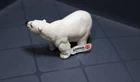 Schleich POLAR BEAR Adult Female 14024 Figure Wildlife Animal Retired Free S&H