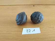 221 Moqui Marbles -Lebende Steine - wunderschönes  Paar - aus Utah/USA- Nr. 221
