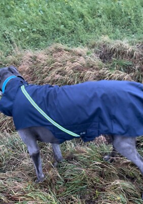 Hundemantel Ceratex XXL für Doggen,...