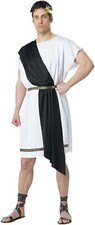 Party Toga - Adult Costume